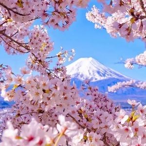 Meet your Posher, Oscar